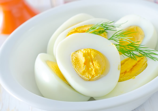 卵の保存方法の画像